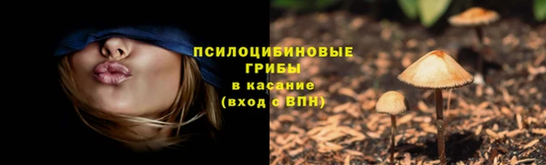 прущие крисы Абаза