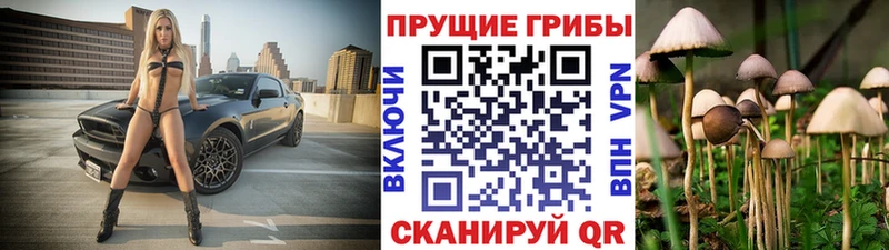 Псилоцибиновые грибы MAGIC MUSHROOMS  где найти наркотики  Ак-Довурак 